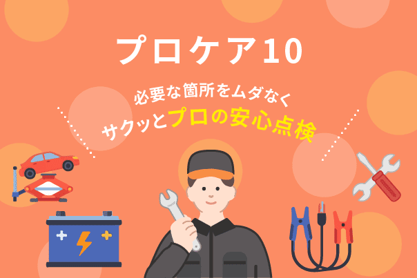 プロケア10